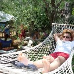 balazsh 2011